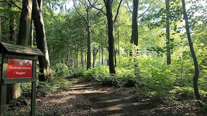 Rezerwat leśny Segiet (Tarnowskie Góry)