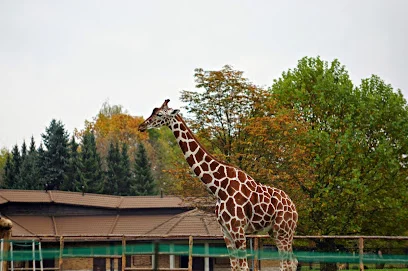 Śląski Ogród Zoologiczny (ZOO Chorzów)